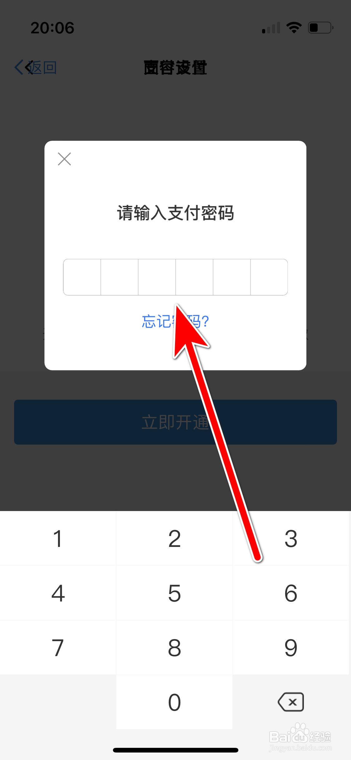 点淘如何开通人脸支付功能
