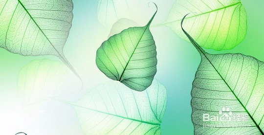 现代人养生一些小经验