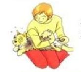 怎样给狗狗量体温