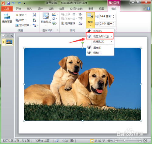 PPT中如何修改图片的形状