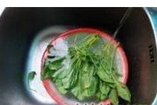 蚝油菠菜粉丝的做法