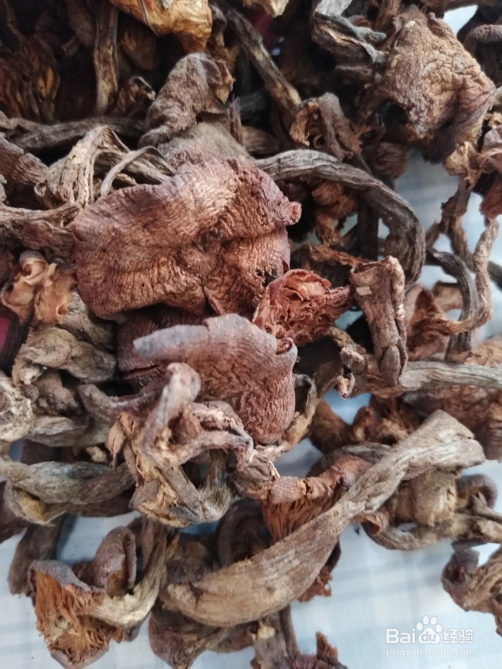 怎么做榛蘑炒肉
