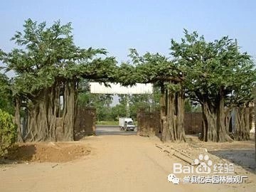 生态园大门制作经验心得