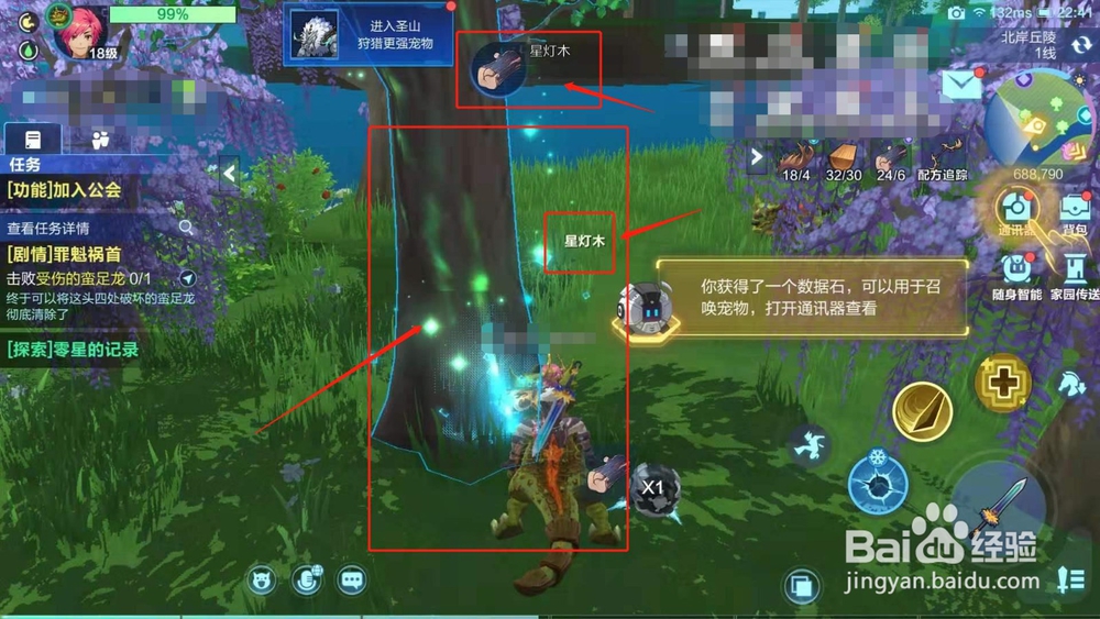 我的起源，如何收集星灯木