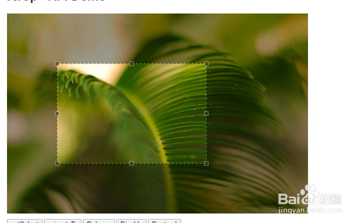 jquery实现的图片裁剪插件