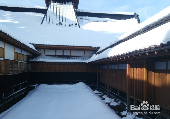 一条性价比爆棚的万元以下日本北海道观雪路线