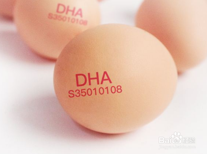 鸡转换蛋DHA方法