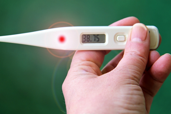 温度计每一个部分名称是什么