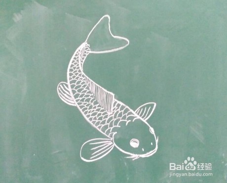 鱼的画法教程(11)怎么画,如何画鱼画鱼方法