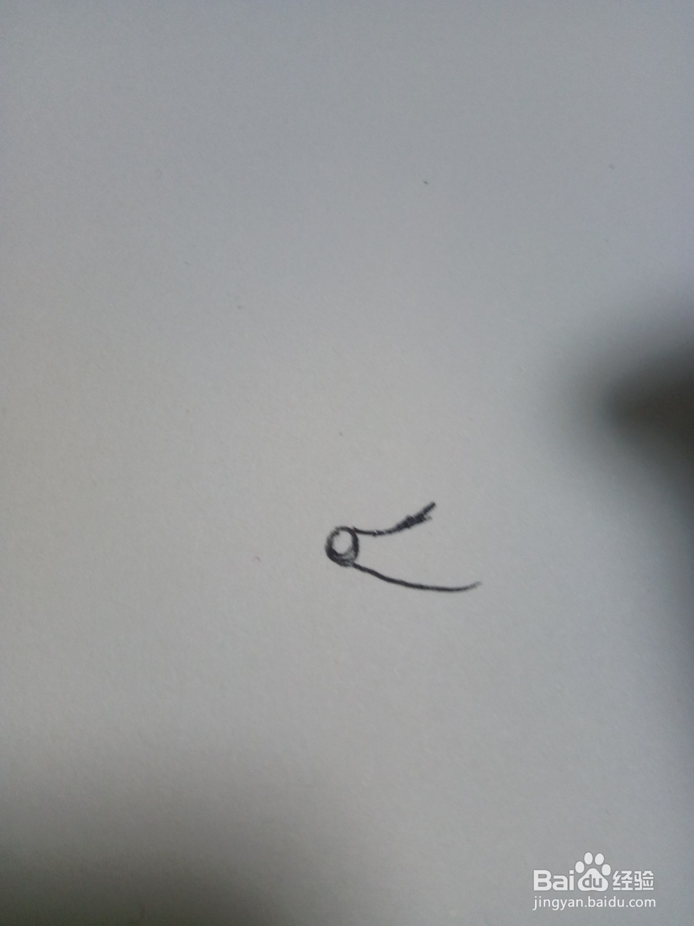 幼儿简笔画小刺猬