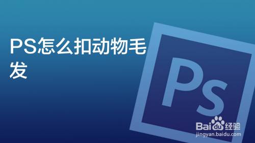 PS怎么扣动物毛发