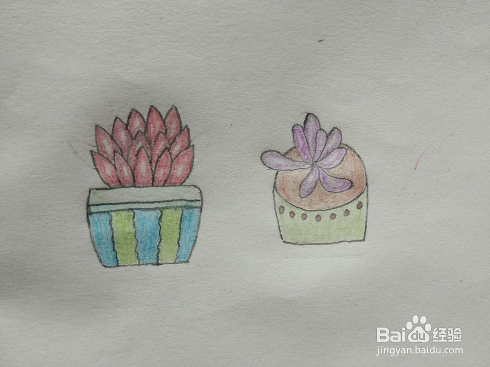 简笔画——怎么画多肉盆栽