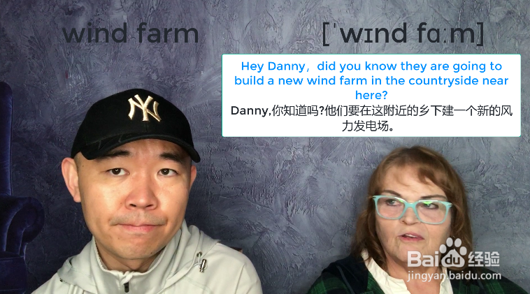 wind farm什么意思
