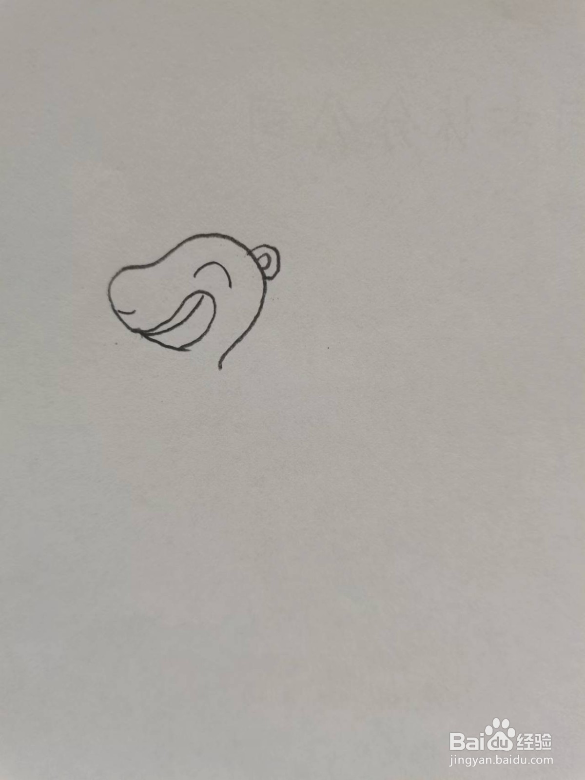 铅笔画沙漠骆驼