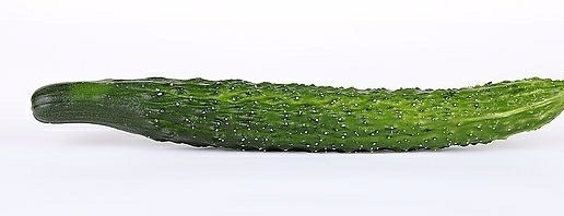 一点点感冒怎么调理