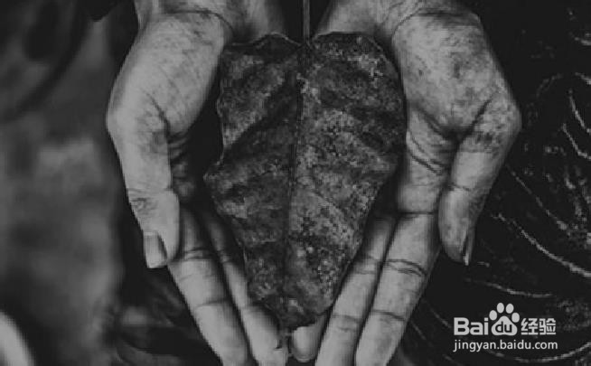 如何变得更成熟？更勇敢？