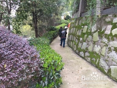 长沙市近郊农家乐