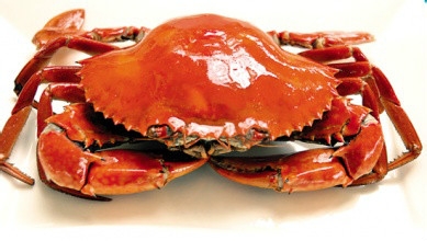 这些食物产妇慎用