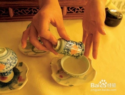 铁观音泡茶的步骤