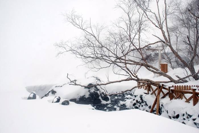 描写塞雪景的诗句