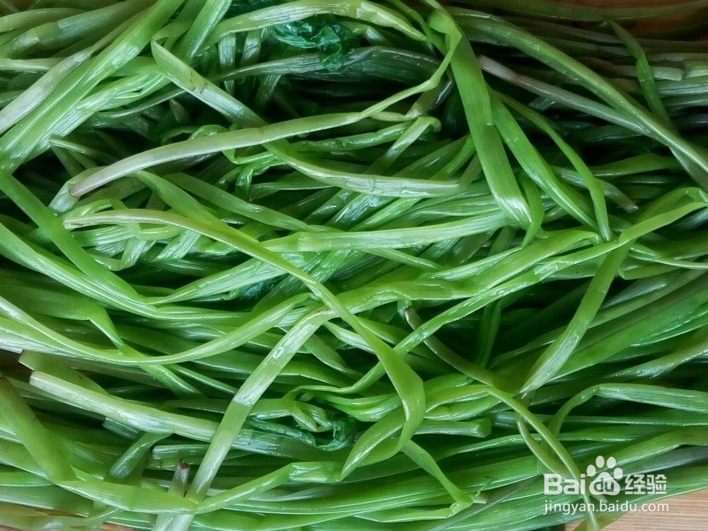 蒲公英花泡水喝