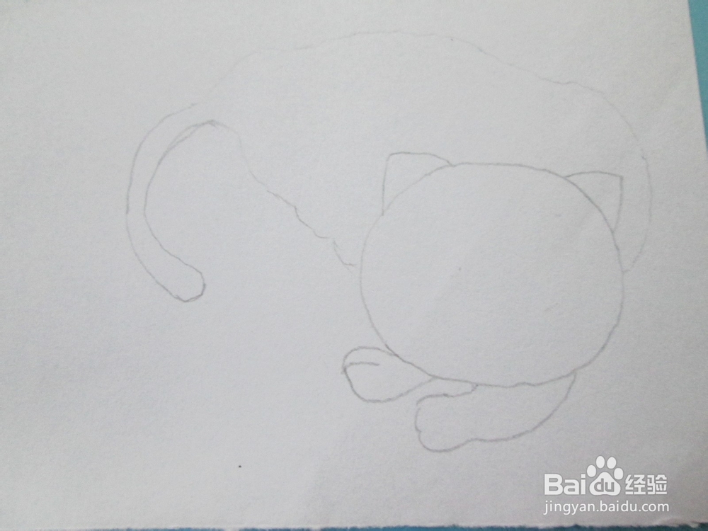 黑白线描画《猫咪》的作画步骤