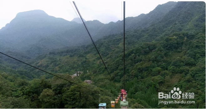 都江堰—青城山旅游攻略