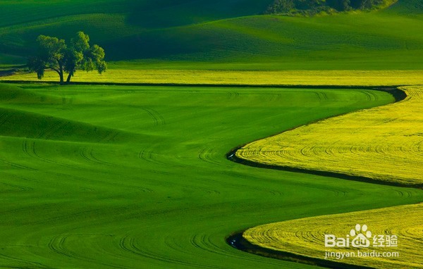 如何理性规划人生