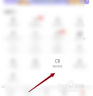 进入斗鱼的贵族开通记录页面
