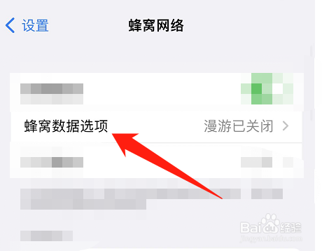 iphone怎么限制ip地址跟踪