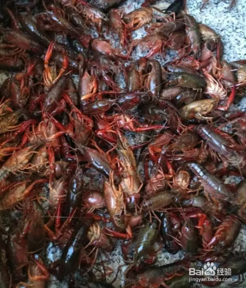 香辣啤酒小龙虾