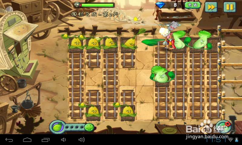 植物2中文版狂野西部围栏之战第2天过关攻略