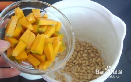 南瓜豆浆的攻略