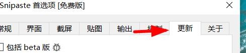 Snipaste如何开启每隔24小时检查更新