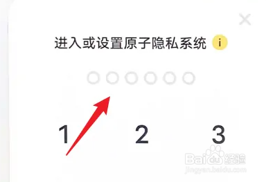 vivo手机原子隐私系统如何关闭