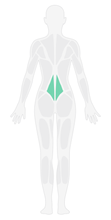 臀腿放松_塑形操 · 翘臀 Club