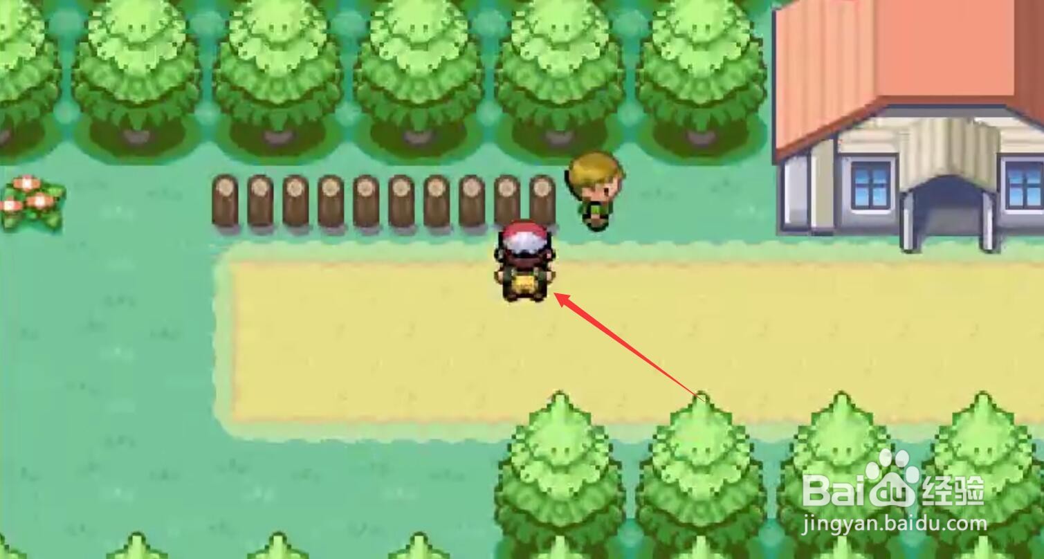 口袋妖怪盖亚攻略