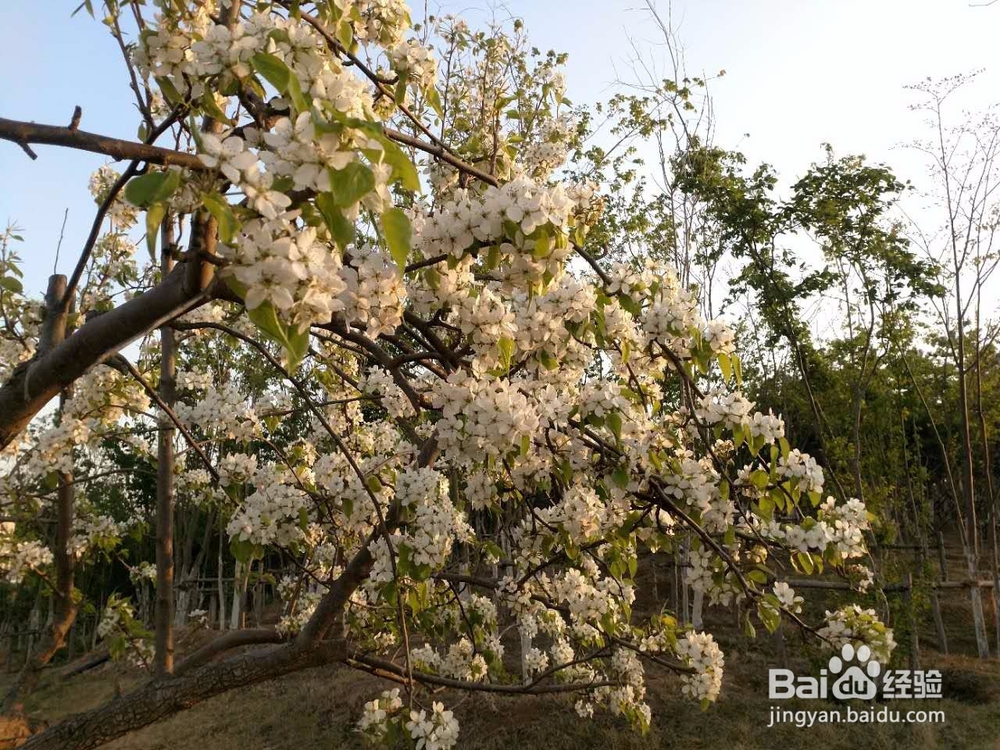 心情不好了，如何排解？