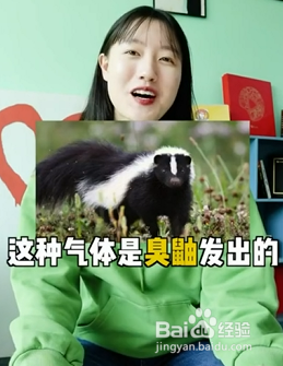 世界上最难闻的味道是什么