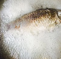 鲫鱼汤的简单做法