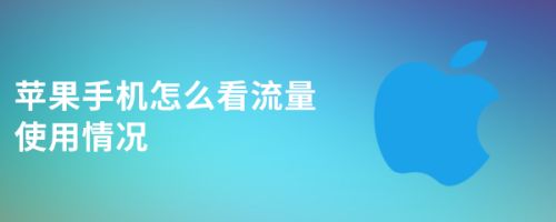 苹果手机怎么看流量使用情况