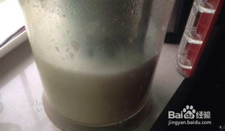 五谷豆浆--饮品教程