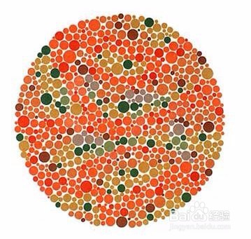 色盲检查图（第五版）的使用方法