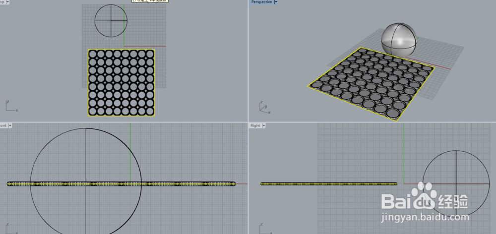 犀牛沿着曲面流动