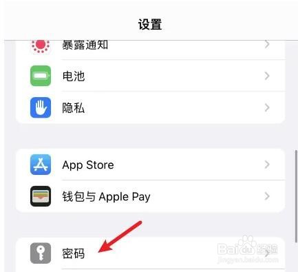 苹果手机验证码自动填写在哪里设置
