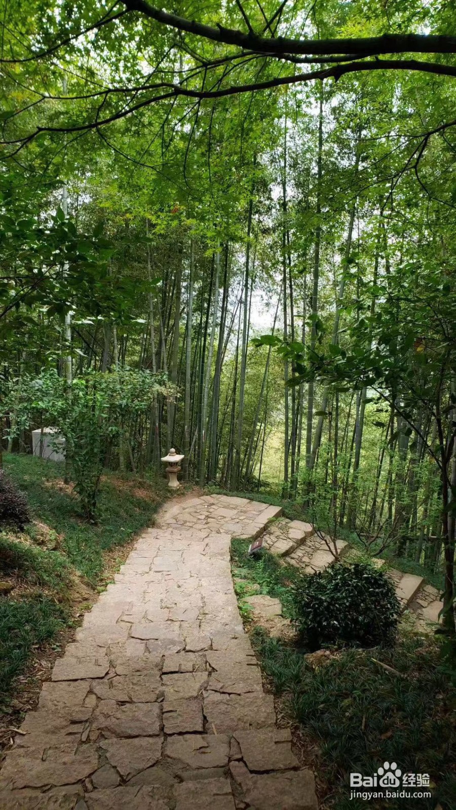 余杭径山寺自驾游