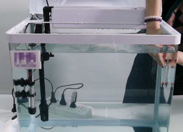 鱼缸怎么开缸养水