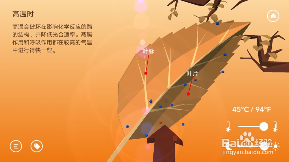 高中生物温度与光照对光合作用的影响知识点详解