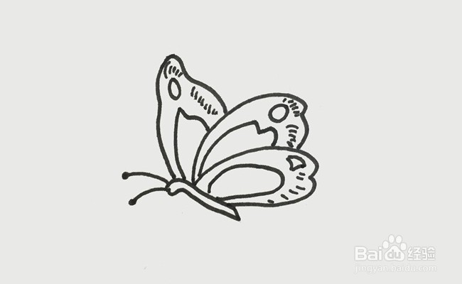怎么画蝴蝶更漂亮