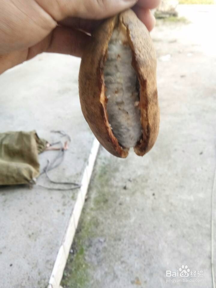 如何编写旅游攻略